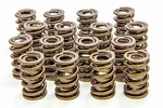 Isky 8205 Plus 1.530 Valve Springs New. Price: $432.61.