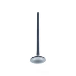 Engine Exhaust Valve-sohc, Code: F22A1, 16 Valves Dnj EV219 New. Price: $11.43.
