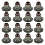 Ford Focus 2015-2018 Apex Auto AVS13032 Valve Stem Seal Set New. Price: $17.91.