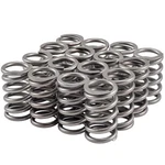 Melling 46645-16 High Performance Valve Spring Gm 4.3L, 4.4L, 4.6L, 4.9L, 5.0L, New. Price: $116.99.