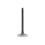 Engine Intake Valve-vin: L, Sohc, 8 Valves Dnj IV300 New. Price: $9.99.