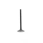 Engine Intake Valve-dohc, Code: Ccta, Turbo, 16 Valves Dnj IV802A New. Price: $19.19.