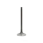 Engine Intake Valve-dohc, Code: 2JZGE, 24 Valves Dnj IV944 New. Price: $18.06.