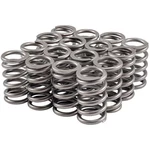 Melling 46645-16 High Performance Valve Spring New. Price: $137.99.