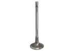 For Ae V95174 Intake Valve Fits: Mercedes Actros, Mp Neu. Price: $27.38.
