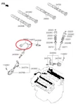 Genuine Brand New Ocv Wire Harness Hyundai Genesis 2013-2015 3.8L Petrol. Price: $57.24.
