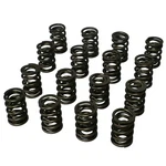 Howards For Pro - Alloy Mechanical Roller Dual Valve Springs 1.550 98643 New. Price: $249.90.