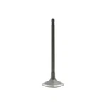 Dnj IV420 Intake Valve Fits 2000-2004 Ford Focus 97-02 Escort New. Price: $31.99.