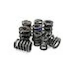 Crower Valve Springs Mitsubishi/neon (set 24) New. Price: $161.79.