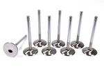 Sbc C/p 2.125 Intake Valves Ferrea F1221P-8 New. Price: $288.62.