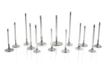 Ferrea VS1021 New. Price: $71.66.