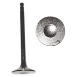 For Nissan Maxima 1995-2001 Dnj Engine Components Exhaust Valve New. Price: $14.98.