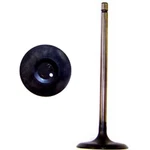 IV954 Dnj Intake Valve For Toyota Tacoma 2010 New. Price: $23.72.