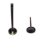 Dnj EV4139 Engine Exhaust Valve For 99-08 B3000 Ranger Sable Taurus Windstar New. Price: $17.99.