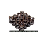 Blox Racing BXPT-20300 Dual Valve Springs For H22A 2.2L Dohc Vtec New. Price: $208.00.