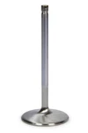 Ferrea Bbc C/p 2.350 Intake Valve F2369P New. Price: $48.16.