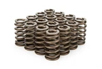 Racing Springs 1.210 Valve Ovate Beehive (16) PAC-1235-16 New. Price: $242.30.