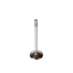 Exhaust Valve Melling V1281 New. Price: $35.74.