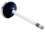 Enginetech V4453 Exhaust Valve For 2008-2013 Chrysler/dodge/ram/jeep 4.7L New. Price: $24.22.