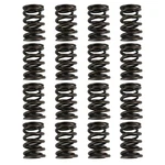 Springs PAC-L8136-16 Steel Valve Locks Mini Degree Radius Groov New. Price: $89.30.