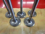 Lot Of Nos Genuine Gm Intake Valves #3774052 250CID 265CID 292CID 350CID New. Price: $39.95.