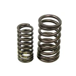 11-31-7-830-890 Genuine Bmw Valve Spring For Series E86 Z4 E46 / M3 E36 Z3 New. Price: $29.05.