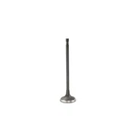 Dnj IV828 Intake Valve Fits 2007-2010 Mini Cooper New. Price: $33.99.