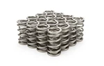 Racing Springs 1.290 Dual Valve Rpm Series (16) PAC-1204X-16 New. Price: $414.37.