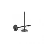 Supertech SIVN-1050-2-8 Black Nitrided Intake Valves Subaru Brz Wrx FA20/FA20F New. Price: $224.95.