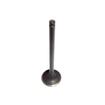 Dnj EV429 Exhaust Valve Fits 2003-2005 Kia Rio New. Price: $32.99.