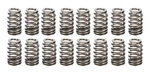 Gm Performance Parts 19420455 Valve Spring Kit; Chevy Ls Engine New. Price: $123.25.