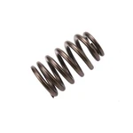 12686721 Delco Valve Spring For Chevy Sedan Cadillac CT4 Chevrolet Camaro Gmc New. Price: $21.21.