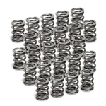 Supertech SPR-H1005D-24 Dual Valve Springs For Nsx C32B New. Price: $353.16.