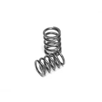 Supertech Valve Spring Kit For Toyota/lotus Elise 2ZZ Single New. Price: $569.82.