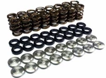 Ferrea Valve Springs + Retainer Locators For Bmw E36 S42 M42 M50 S50 M52 M54 New. Price: $1126.27.