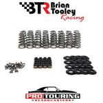 Brian Tooley Racing Chevrolet Gm Gen LT4 .650" Conical Valve Spring Kit New. Price: $391.95.