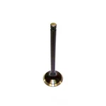 Engine Exhaust Valve-vin: N, Ohv, 16 Valves Dnj EV3111 New. Price: $22.09.