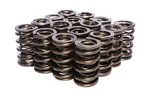 Competition Cams 26921-16 Dual Valve Spring Fits Camaro Corvette Firebird Gto New. Price: $636.06.