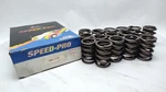 Federal Mogul Speed-pro VS-1618R Sbi 160-1147 Performance Valve Springs Piece New. Price: $95.00.