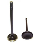EV4147 Dnj Exhaust Valve For F150 Truck E150 Van E250 E350 F250 F450 F550 F350 New. Price: $25.66.