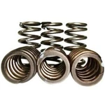 Pacbrake C14010 60LB Valve Springs For 89-98 12V Cummins New. Price: $120.06.