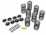 Empi 4045 High-rev Single Valve Spring Kit, For Dune Buggy New. Price: $97.95.