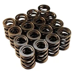 Blox Racing Dual Valve Springs Set Kit Series For 1993-2001 Honda Prelude New. Price: $208.00.