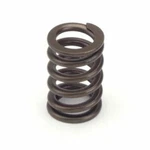 Crower 68195-16 Valve Springs 1.045 Dia. (set Of 16) New. Price: $126.63.