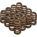PAC-1219 LS1 Hp Ovate Beehive Valve Spring, 1.307 Od, SET/16 New. Price: $225.60.