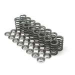 Brian Crower BC1300 Single Valve Springs For Toyota 2JZGTE/LEXUS 2JZGE New. Price: $143.00.