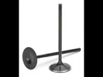 Supertech Black Nitrided Exhaust Valve (8) Mazda/ford Duratec 2.0L/2.3L New. Price: $200.76.