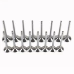 Intake& Exhaust Valve For Vw Golf Jetta Tiguan Audi A4 A6 Cda Cbf Cae Cpm New. Price: $95.92.