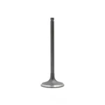 Engine Intake Valve-dohc, Code: 1MZFE, 24 Valves Dnj IV960 New. Price: $16.73.