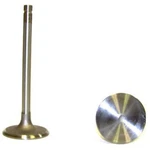 IV337 Dnj Intake Valve For Chevy Olds S10 Pickup Cutlass Gmc Sonoma Chevrolet New. Price: $24.18.